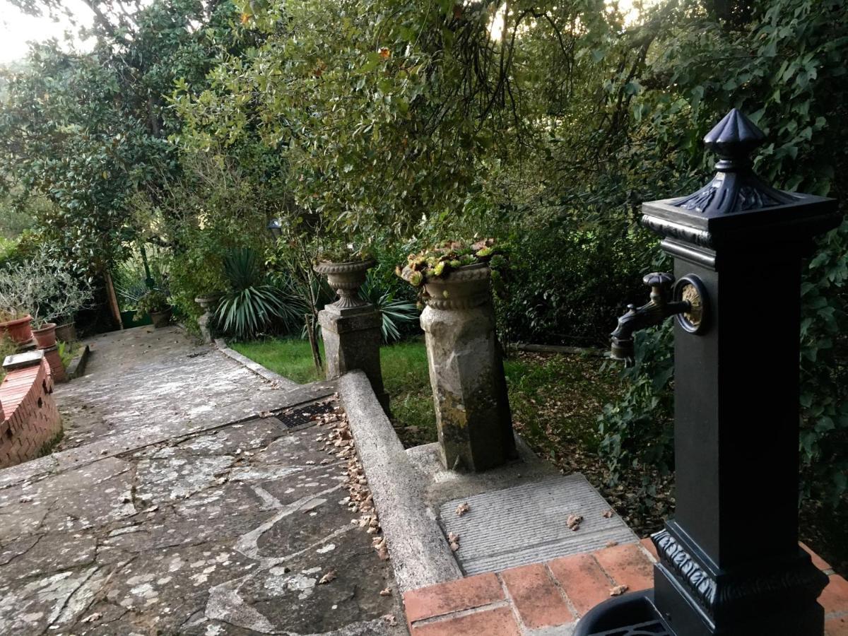 Villa Baronzola Montevarchi Dış mekan fotoğraf