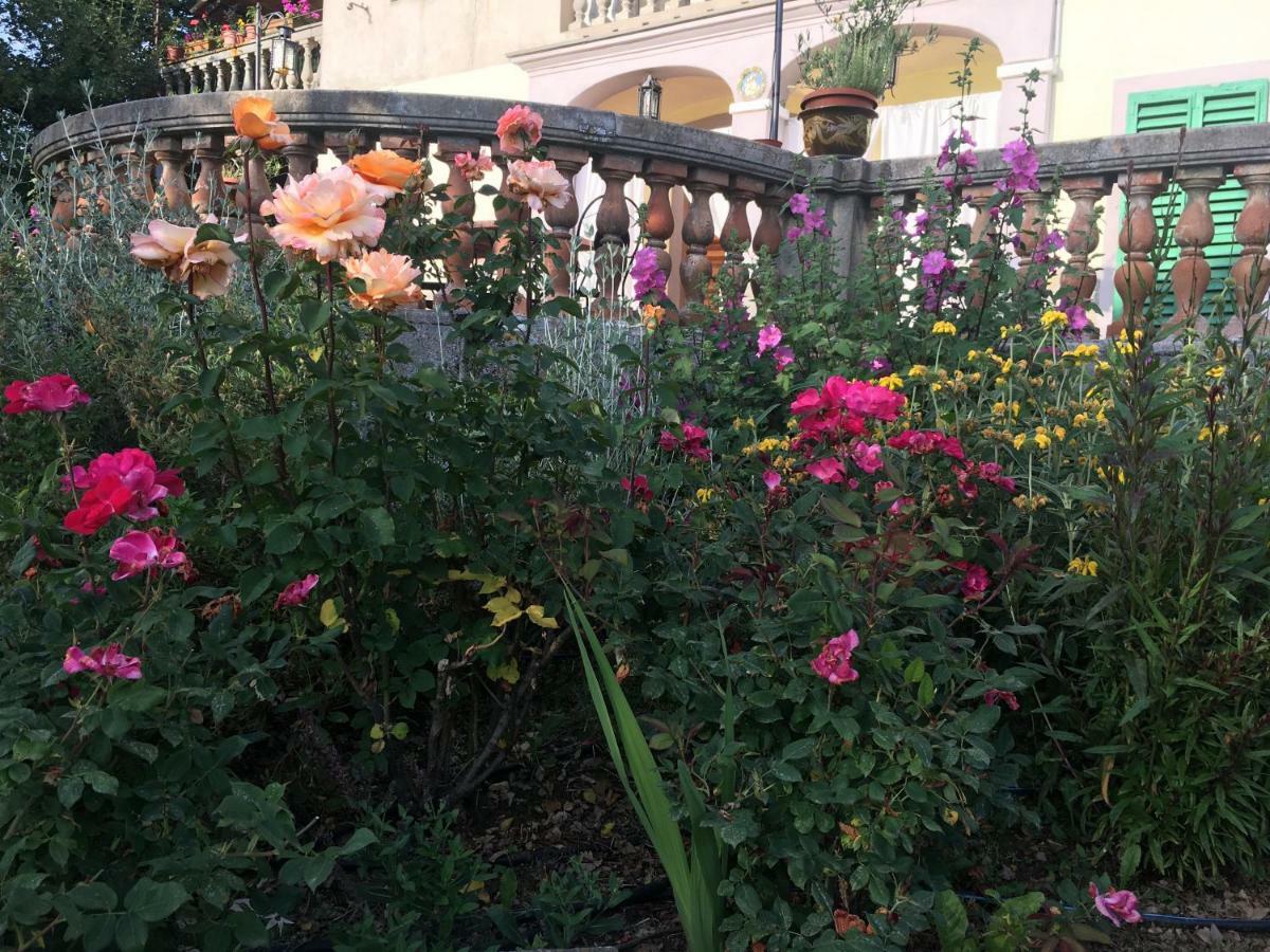 Villa Baronzola Montevarchi Dış mekan fotoğraf