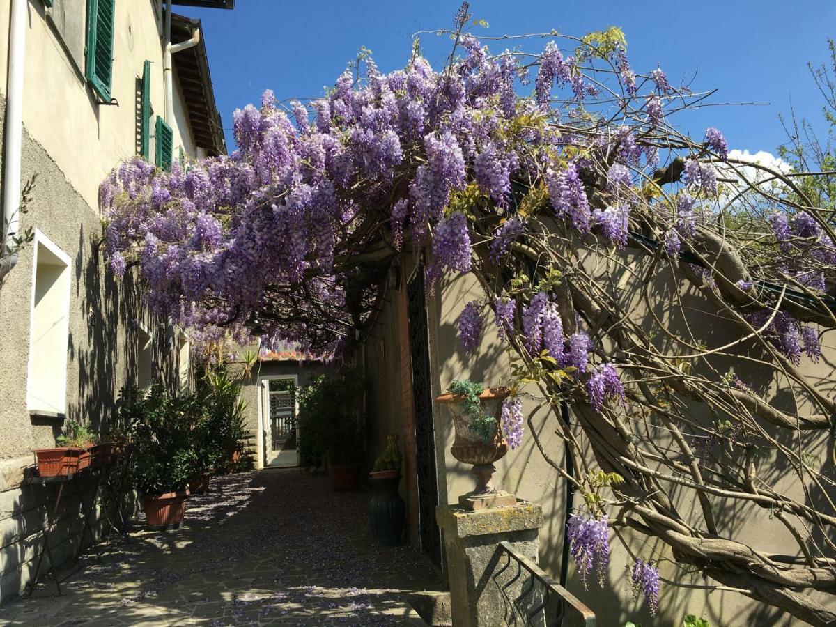 Villa Baronzola Montevarchi Dış mekan fotoğraf