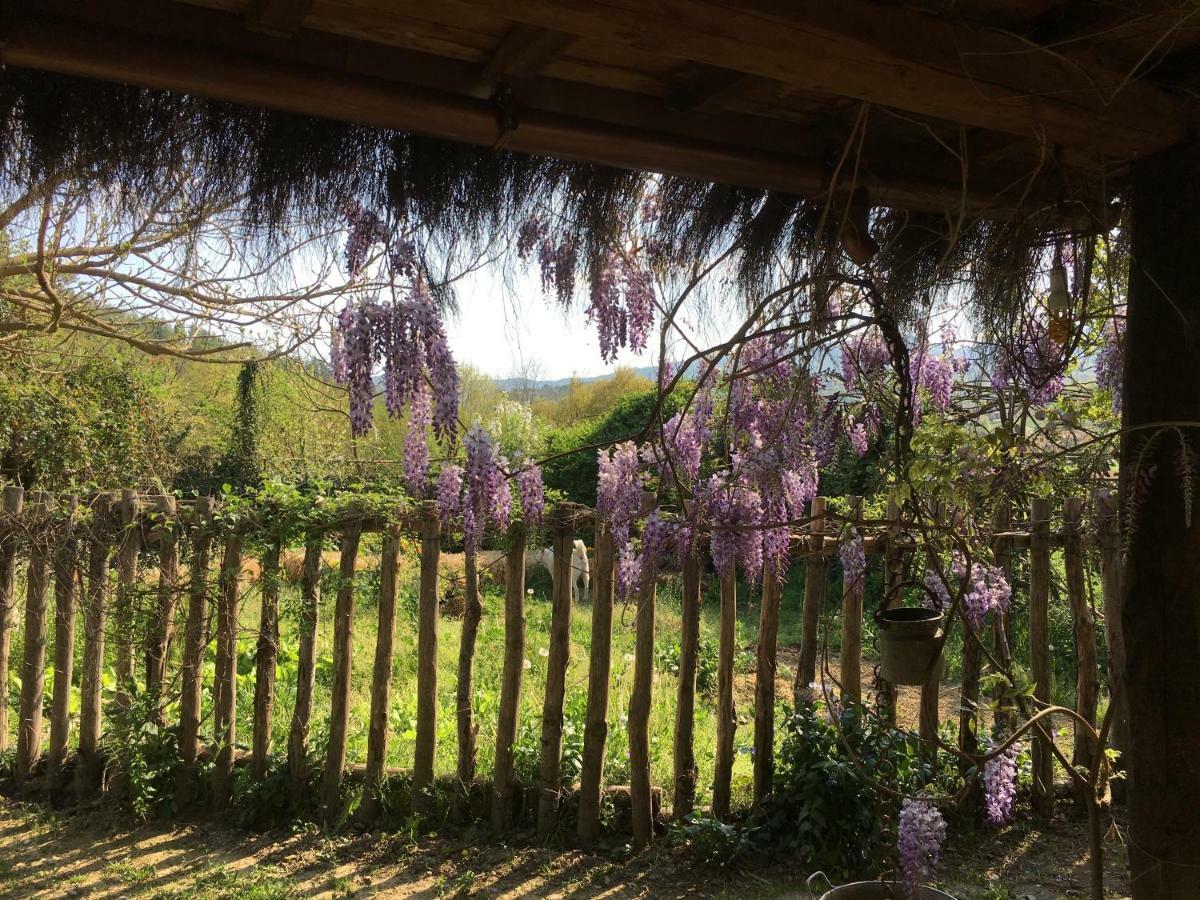 Villa Baronzola Montevarchi Dış mekan fotoğraf