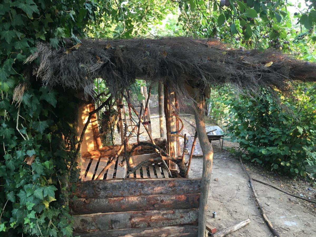 Villa Baronzola Montevarchi Dış mekan fotoğraf
